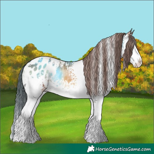 Horse Color:White Spotted Red Onyx Sabino Appaloosa 