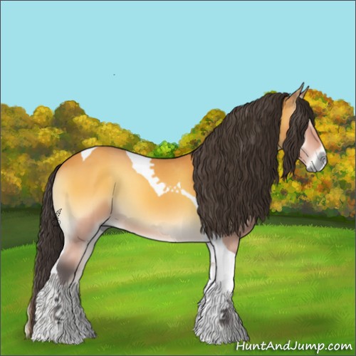 Horse Color:Buckskin Onyx Sabino Tobiano 