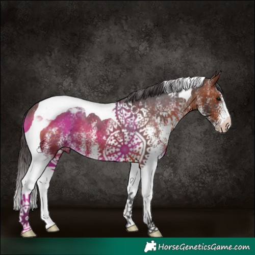 Horse Color:White Spotted Bay Tobiano Varnish 
