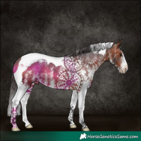 Horse Color:White Spotted Bay Tobiano Varnish 