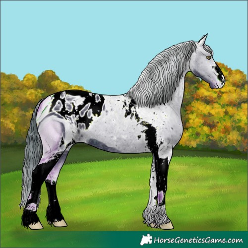 Horse Color:ERROR: UNKNOWN ANOMALY