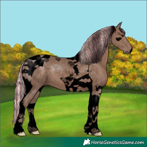 Horse Color:Void Painted Silver Black Tobiano