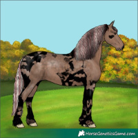 Horse Color:Void Painted Silver Black Tobiano 