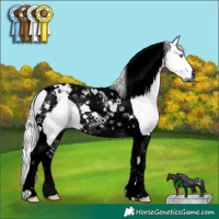 Horse Color:Void Liver Chestnut Chinchilla Tobiano 