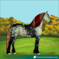 Horse Color:Void Painted Watercolor Liver Red Dun Tobiano 