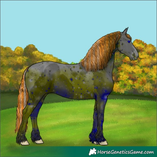 Horse Color:ERROR: UNKNOWN ANOMALY