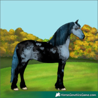 Horse Color:Void Watercolor Grullo Chinchilla Tobiano 