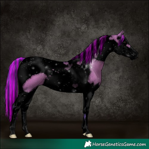 Horse Color:Void Painted Watercolor Grullo Splash Tobiano 