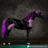 Horse Color:Void Painted Watercolor Grullo Splash Tobiano 