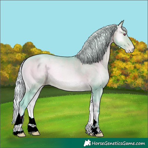 Horse Color:Watercolor Silver Brown Chinchilla Pearl Onyx 