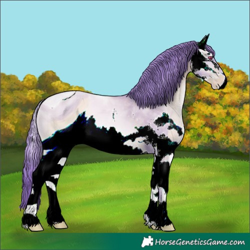 Horse Color:ERROR: UNKNOWN ANOMALY