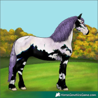 Horse Color:ERROR: UNKNOWN ANOMALY
