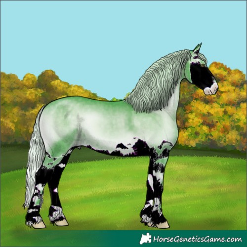 Horse Color:Watercolor Silver Blue Onyx Chinchilla Splash 