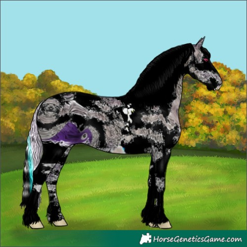 Horse Color:ERROR: UNKNOWN ANOMALY