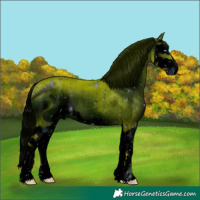 Horse Color:ERROR: UNKNOWN ANOMALY