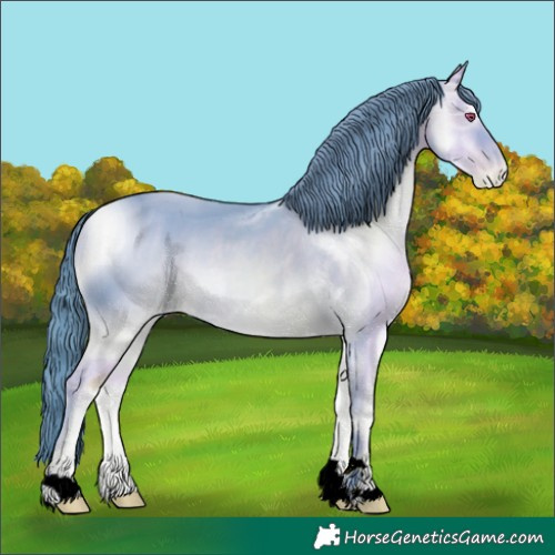 Horse Color:ERROR: UNKNOWN ANOMALY