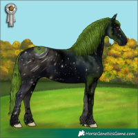 Horse Color:ERROR: UNKNOWN ANOMALY