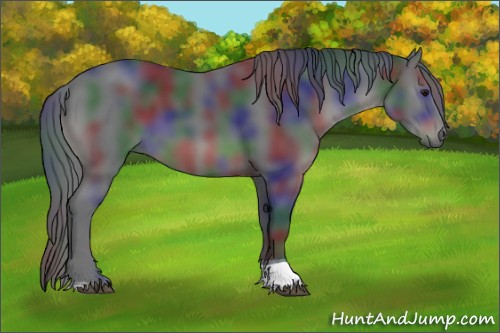 Horse Color:Nacre Black Tobiano
