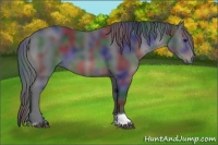 Horse Color:Nacre Black Tobiano 
