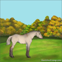 Horse Color:Silver Bay Dun Sabino