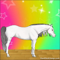 Horse Color:Platinum Buckskin Tobiano Blanket 