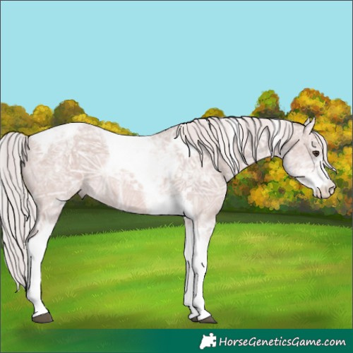 Horse Color:Platinum Chestnut Ice Sabino Tobiano 