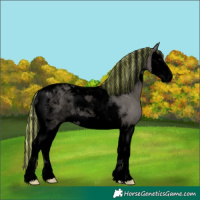 Horse Color:Void Painted Grullo Splash Tobiano Rabicano