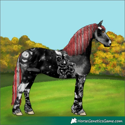 Horse Color:ERROR: UNKNOWN ANOMALY