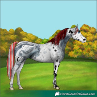 Horse Color:ERROR: UNKNOWN ANOMALY