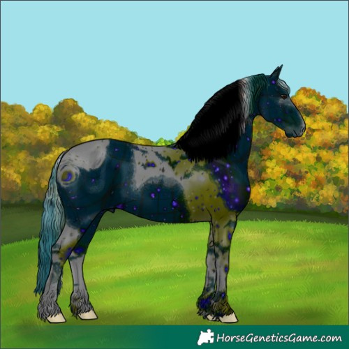 Horse Color:ERROR: UNKNOWN ANOMALY