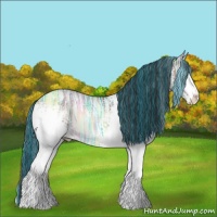 Horse Color:Painted White Spotted Liver Red Onyx Ice Sabino