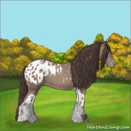 Horse Color:Classic Champagne Tobiano Appaloosa 