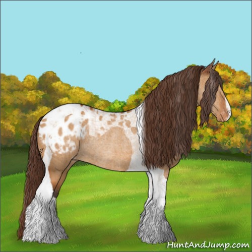 Horse Color:Buckskin Dun Tobiano Varnish Rabicano