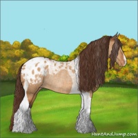 Horse Color:Buckskin Dun Tobiano Varnish Rabicano 