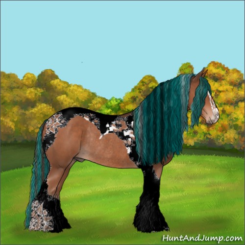 Horse Color:Painted Liver Chestnut Sabino Tobiano Rabicano 