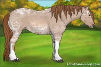 Horse Color:Red Ice Roan