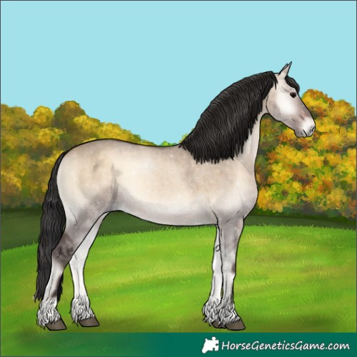 Horse Color:Brown Onyx Rabicano 