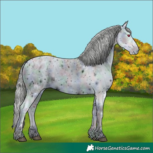 Horse Color:ERROR: UNKNOWN ANOMALY