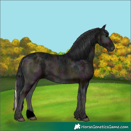 Horse Color:ERROR: UNKNOWN ANOMALY