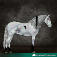 Horse Color:ERROR: UNKNOWN ANOMALY