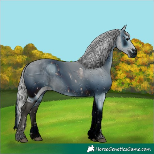 Horse Color:ERROR: UNKNOWN ANOMALY