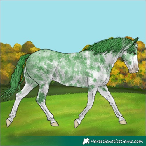 Horse Color:Watercolor White Spotted Black Rabicano 