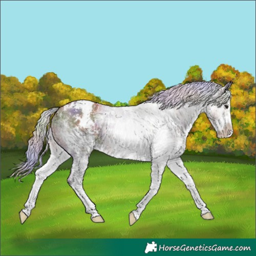 Horse Color:Nacre White Spotted Silver Black 