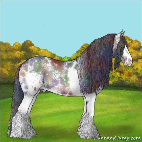 Horse Color:Nacre White Spotted Blue Onyx 