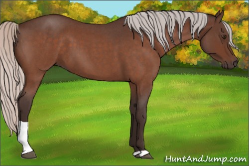 Horse Color:Silver Brown Roan Tobiano 