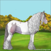 Horse Color:Watercolor Bay Pearl Tobiano Varnish 