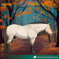 Horse Color:Buckskin Roan Dun 