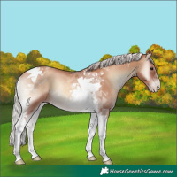 Horse Color:Silver Classic Champagne Onyx Tobiano 