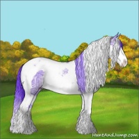 Horse Color:Watercolor Chocolate Brown Ice Dun Splash Tobiano