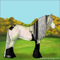 Horse Color:Void Watercolor Silver Sable Champagne Ice Onyx Tobiano Appaloosa 